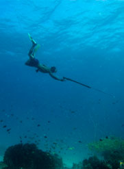 Spear Fishing