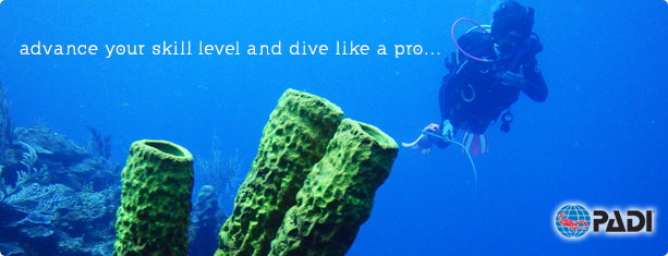 Advanced Open Water Diver Course