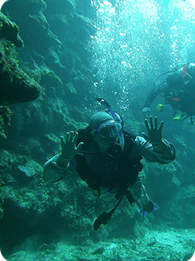 Half Moon Caye Wall Dives