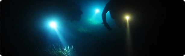 Night Diving