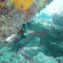 Bj Dive In Esmaralda 003
