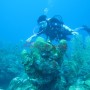 Bj Dive In Esmaralda 060